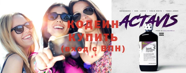 хмурый Корсаков