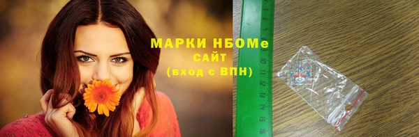 стаф Козловка