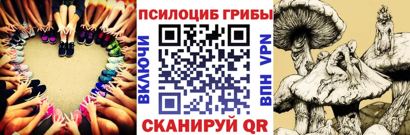 Купить закладки  Белая Калитва  Псилоцибиновые грибы мухоморы 